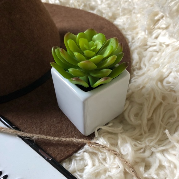 New Faux Succulent in White Pot - Picture 1 of 3